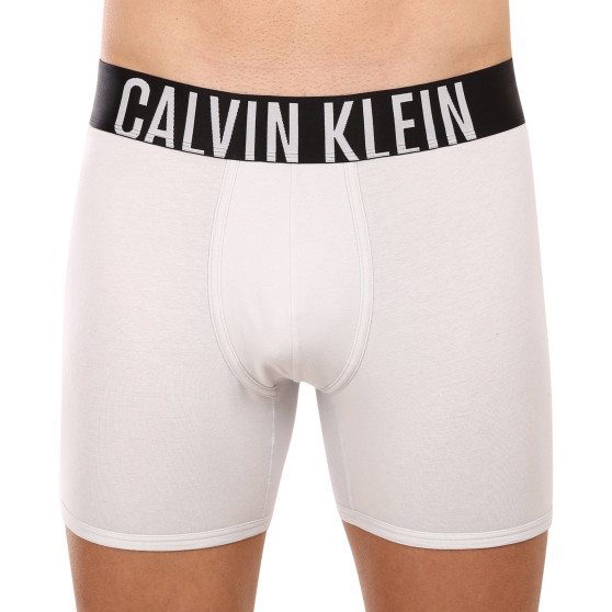 2PACK vīriešu bokseru šorti Calvin Klein daudzkrāsaini (NB2603A-C2D)