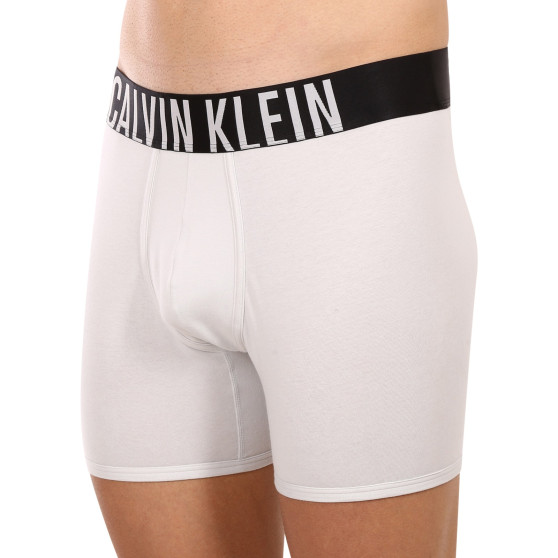 2PACK vīriešu bokseru šorti Calvin Klein daudzkrāsaini (NB2603A-C2D)