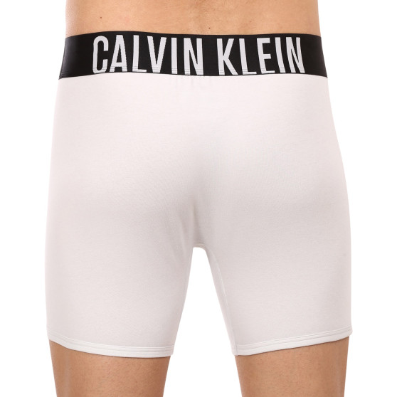 2PACK vīriešu bokseru šorti Calvin Klein daudzkrāsaini (NB2603A-C2D)