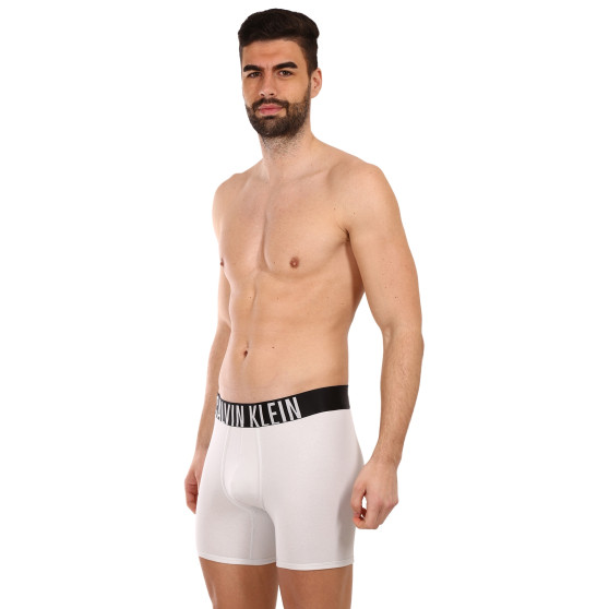 2PACK vīriešu bokseru šorti Calvin Klein daudzkrāsaini (NB2603A-C2D)