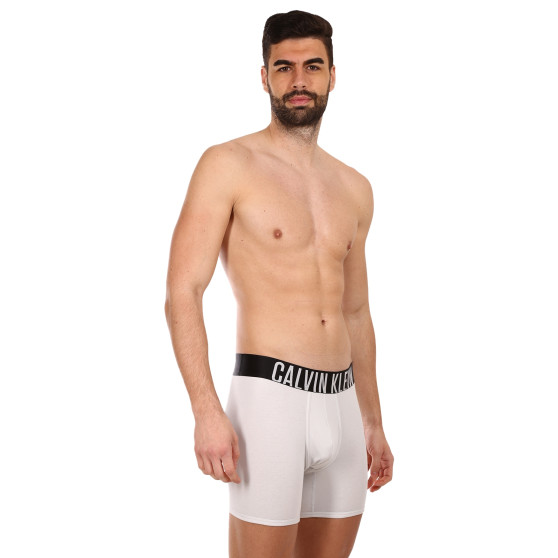 2PACK vīriešu bokseru šorti Calvin Klein daudzkrāsaini (NB2603A-C2D)