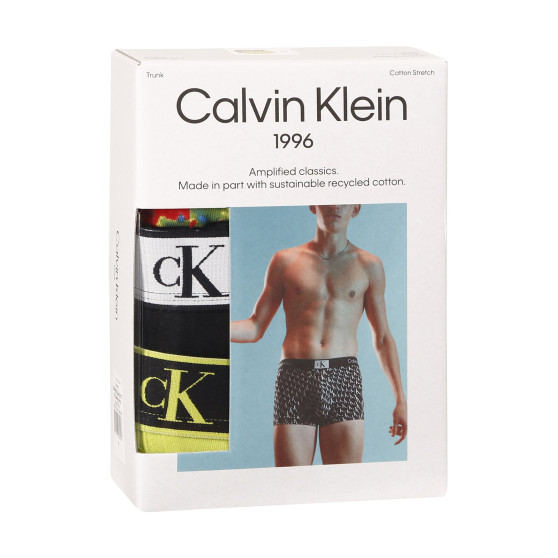 3PACK vīriešu bokseru šorti Calvin Klein daudzkrāsaini (NB3528A-DY0)