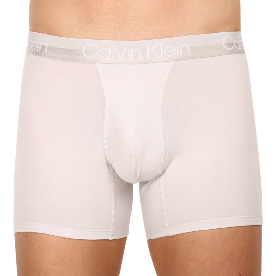 3PACK vīriešu bokseru šorti Calvin Klein daudzkrāsaini (NB2971A-CBC)