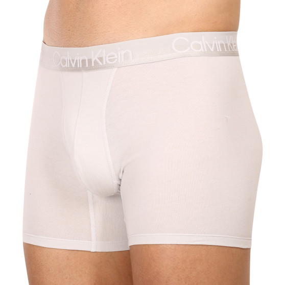 3PACK vīriešu bokseru šorti Calvin Klein daudzkrāsaini (NB2971A-CBC)