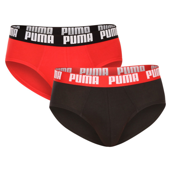 2PACK vīriešu apakšbikses Puma daudzkrāsains (521030001 005)