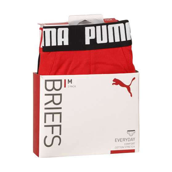 2PACK vīriešu apakšbikses Puma daudzkrāsains (521030001 005)