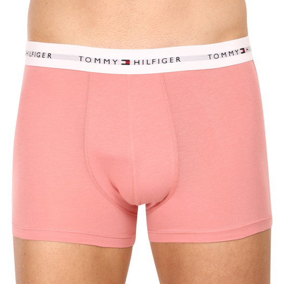 3PACK vīriešu bokseru šorti Tommy Hilfiger daudzkrāsaini (UM0UM02761 0R4)