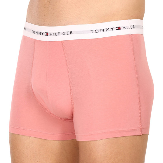 3PACK vīriešu bokseru šorti Tommy Hilfiger daudzkrāsaini (UM0UM02761 0R4)