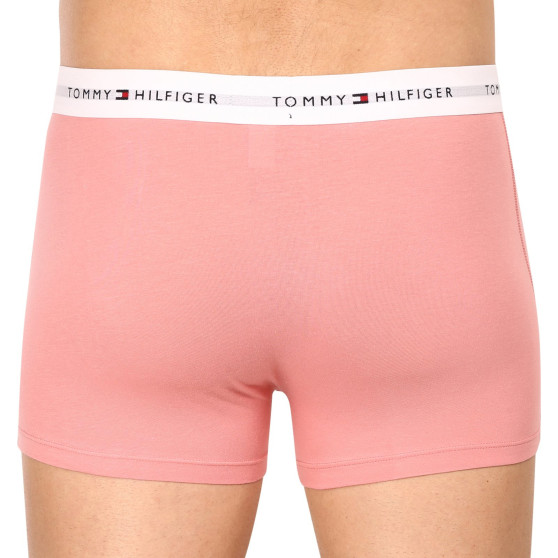 3PACK vīriešu bokseru šorti Tommy Hilfiger daudzkrāsaini (UM0UM02761 0R4)