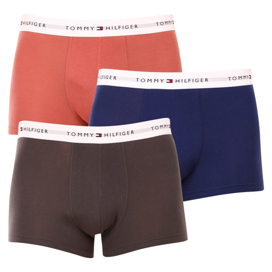 3PACK vīriešu bokseru šorti Tommy Hilfiger daudzkrāsaini (UM0UM02761 0TF)