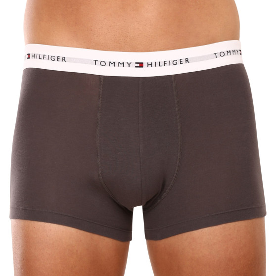 3PACK vīriešu bokseru šorti Tommy Hilfiger daudzkrāsaini (UM0UM02761 0TF)