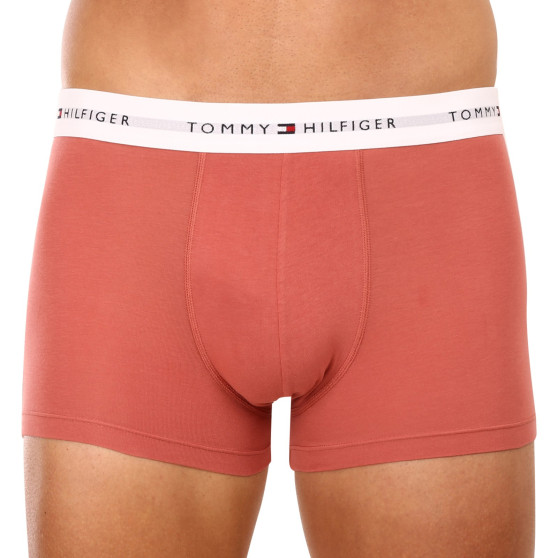 3PACK vīriešu bokseru šorti Tommy Hilfiger daudzkrāsaini (UM0UM02761 0TF)