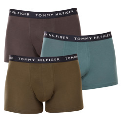 3PACK vīriešu bokseru šorti Tommy Hilfiger daudzkrāsaini (UM0UM02203 0XX)