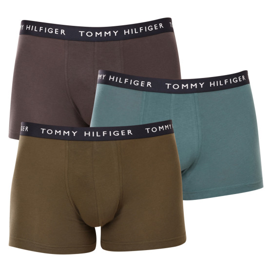 3PACK vīriešu bokseru šorti Tommy Hilfiger daudzkrāsaini (UM0UM02203 0XX)