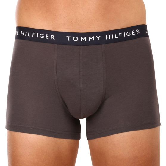 3PACK vīriešu bokseru šorti Tommy Hilfiger daudzkrāsaini (UM0UM02203 0XX)