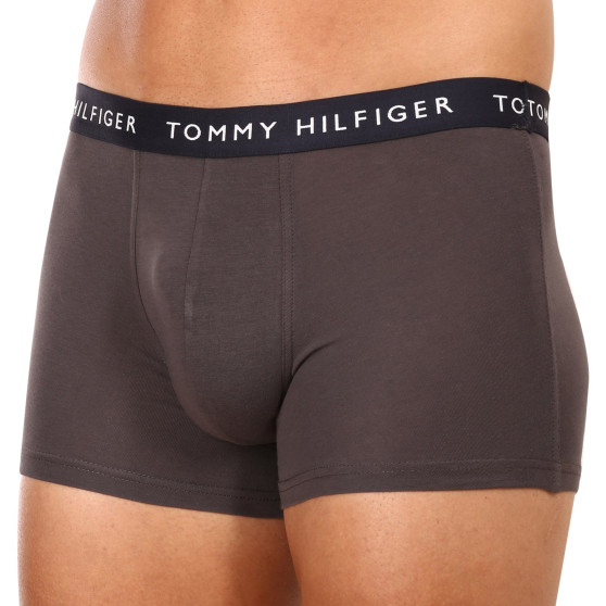 3PACK vīriešu bokseru šorti Tommy Hilfiger daudzkrāsaini (UM0UM02203 0XX)