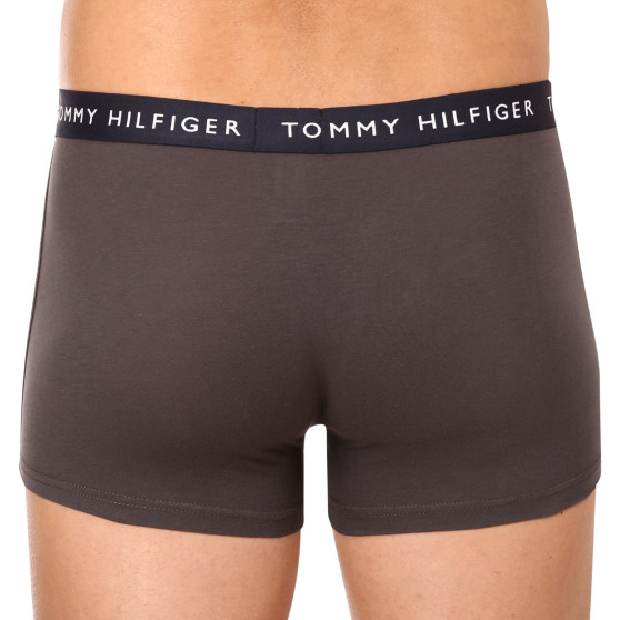 3PACK vīriešu bokseru šorti Tommy Hilfiger daudzkrāsaini (UM0UM02203 0XX)