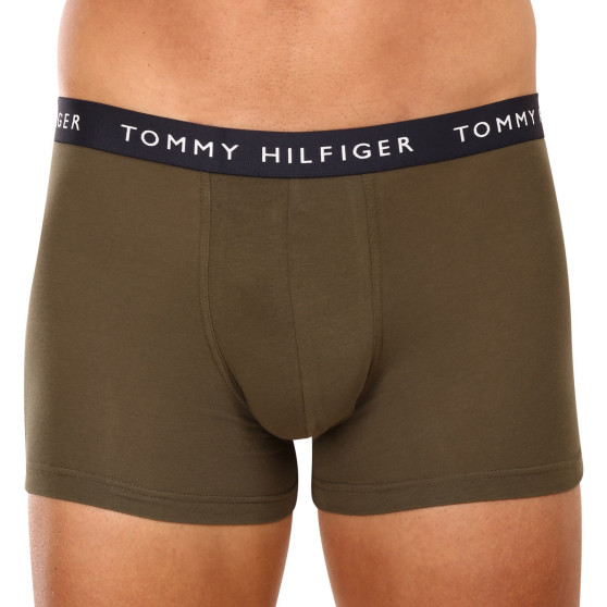 3PACK vīriešu bokseru šorti Tommy Hilfiger daudzkrāsaini (UM0UM02203 0XX)