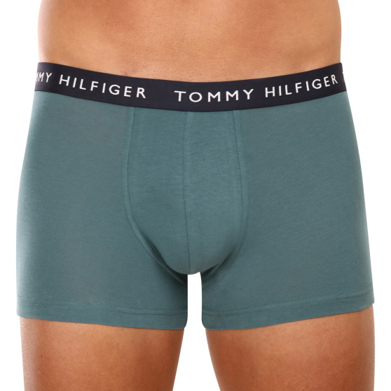 3PACK vīriešu bokseru šorti Tommy Hilfiger daudzkrāsaini (UM0UM02203 0XX)