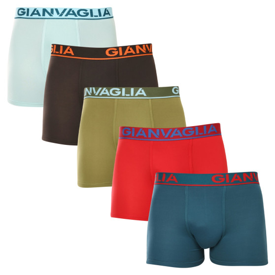 5PACK vīriešu bokseru šorti Gianvaglia daudzkrāsaini (GVG-5009)