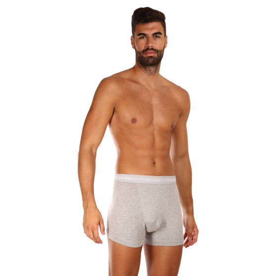 3PACK vīriešu bokseru šorti Calvin Klein pelēki (U2662G-080)