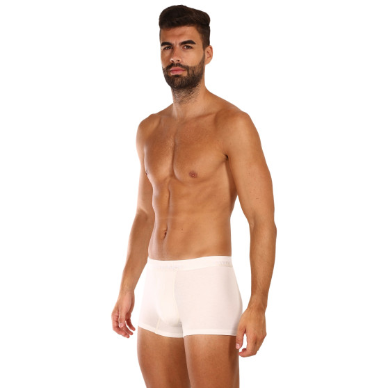 3PACK vīriešu bokseru šorti Calvin Klein daudzkrāsaini (NB2970A-GYO)