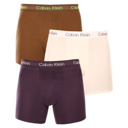 3PACK vīriešu bokseru šorti Calvin Klein daudzkrāsaini (NB3706A-FZ4)