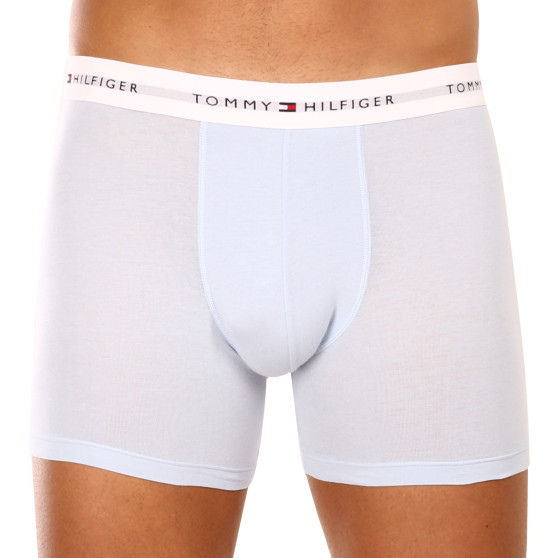 3PACK vīriešu bokseru šorti Tommy Hilfiger daudzkrāsaini (UM0UM02941 0W8)