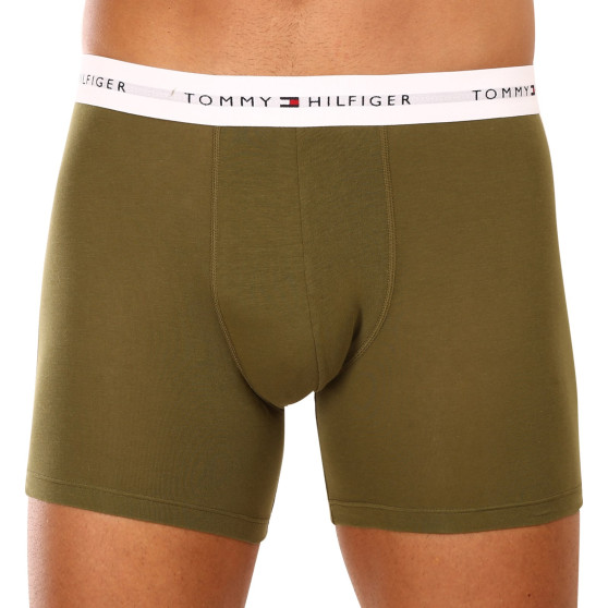 3PACK vīriešu bokseru šorti Tommy Hilfiger daudzkrāsaini (UM0UM02941 0W8)