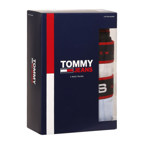 3PACK vīriešu bokseru šorti Tommy Hilfiger daudzkrāsaini (UM0UM02968 0R8)