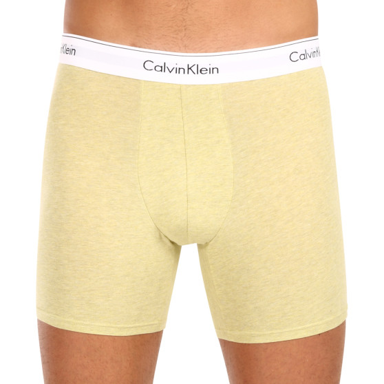 3PACK vīriešu bokseru šorti Calvin Klein daudzkrāsaini (NB2381A-GW2)