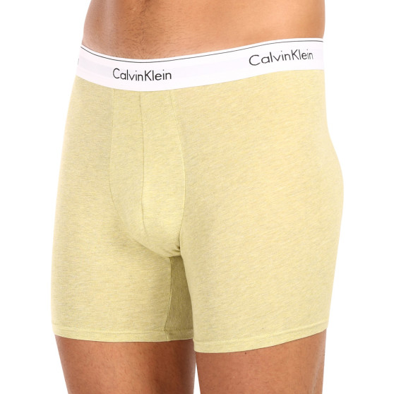 3PACK vīriešu bokseru šorti Calvin Klein daudzkrāsaini (NB2381A-GW2)