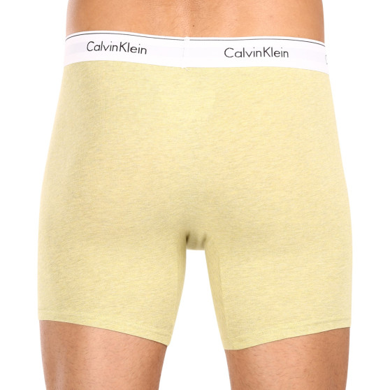 3PACK vīriešu bokseru šorti Calvin Klein daudzkrāsaini (NB2381A-GW2)