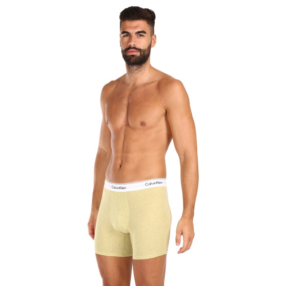 3PACK vīriešu bokseru šorti Calvin Klein daudzkrāsaini (NB2381A-GW2)