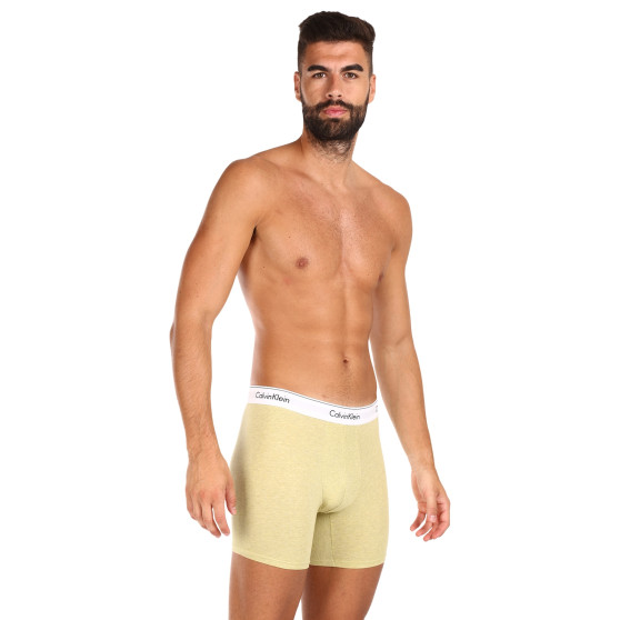 3PACK vīriešu bokseru šorti Calvin Klein daudzkrāsaini (NB2381A-GW2)