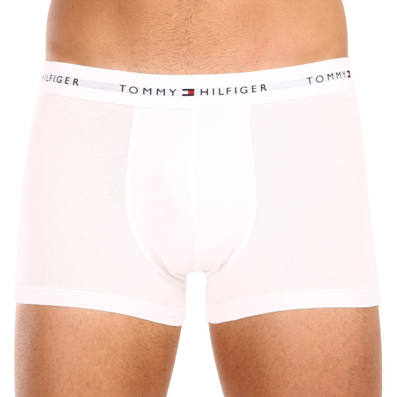 5PACK vīriešu bokseru šorti Tommy Hilfiger daudzkrāsaini (UM0UM02767 0YW)