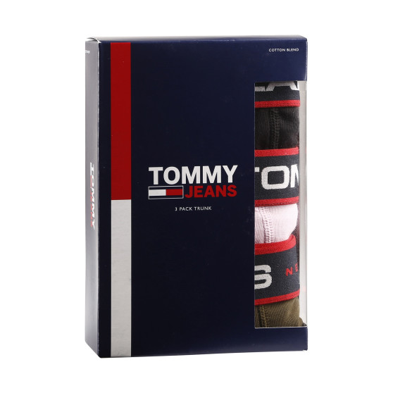 3PACK vīriešu bokseru šorti Tommy Hilfiger daudzkrāsaini (UM0UM02968 0R9)