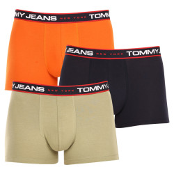 3PACK vīriešu bokseru šorti Tommy Hilfiger daudzkrāsaini (UM0UM02968 0SP)