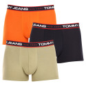 3PACK vīriešu bokseru šorti Tommy Hilfiger daudzkrāsaini (UM0UM02968 0SP)