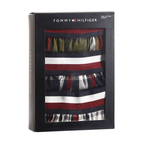 3PACK vīriešu bokserbokseršorti Tommy Hilfiger daudzkrāsaini (UM0UM03042 0SW)