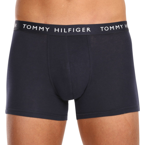 3PACK vīriešu bokseru šorti Tommy Hilfiger daudzkrāsaini (UM0UM02203 0WS)