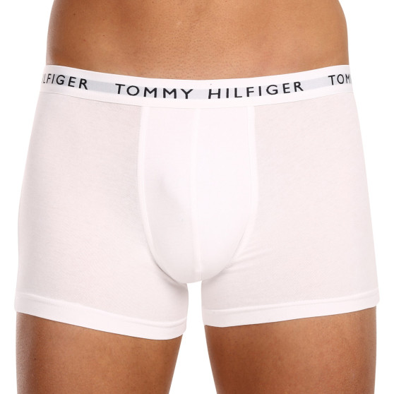 3PACK vīriešu bokseru šorti Tommy Hilfiger daudzkrāsaini (UM0UM02203 0WS)