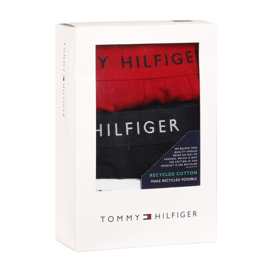 3PACK vīriešu bokseru šorti Tommy Hilfiger daudzkrāsaini (UM0UM02203 0WS)