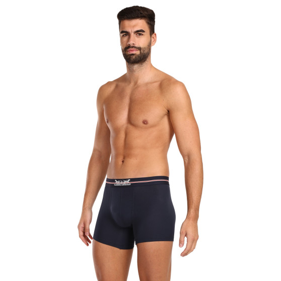 3PACK vīriešu bokseru šorti Levis daudzkrāsaini (701224663 001)