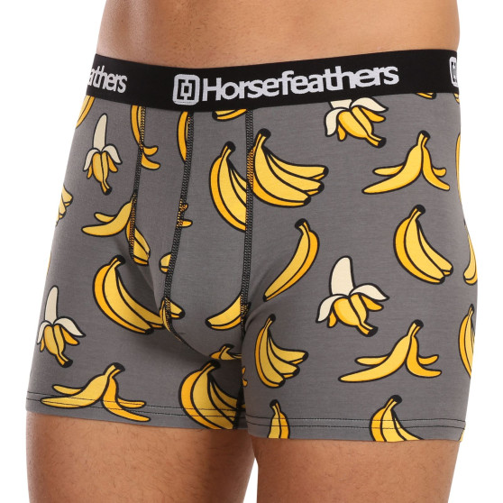 Vīriešu bokseru šorti Horsefeathers Sidney Bananas (AM164L)