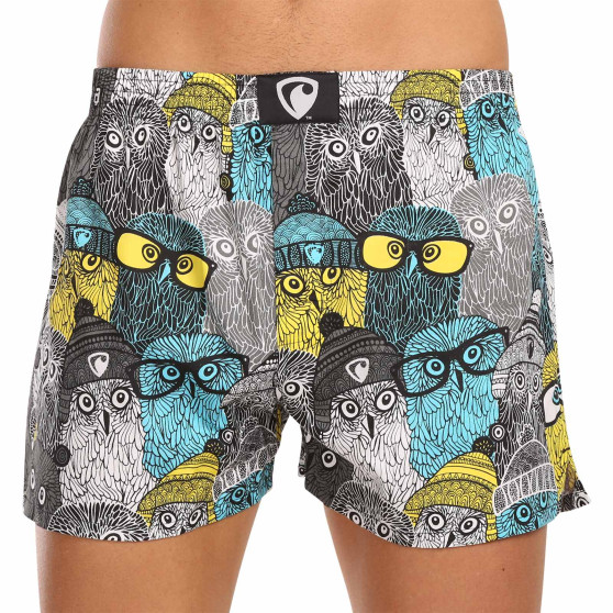 Vīriešu bokserbokseršorti Represent ekskluzīvi Ali Owls Cool (R3M-BOX-0642)