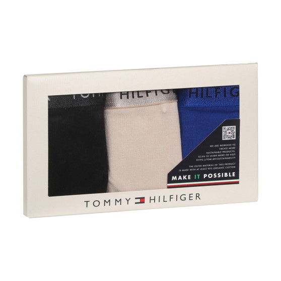 3PACK Sieviešu stringi Tommy Hilfiger daudzkrāsains (UW0UW04889 0R1)