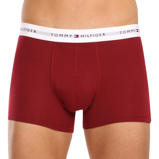 3PACK vīriešu bokseru šorti Tommy Hilfiger daudzkrāsaini (UM0UM02761 0SS)