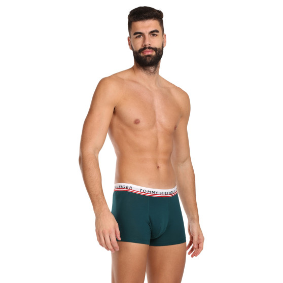 3PACK vīriešu bokseru šorti Tommy Hilfiger daudzkrāsaini (UM0UM03007 0UF)