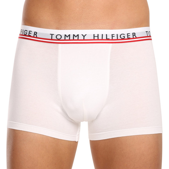 3PACK vīriešu bokseru šorti Tommy Hilfiger daudzkrāsaini (UM0UM03007 0X0)